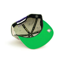 Load image into Gallery viewer, Buy NBA Toronto Raptors Team Heather HWC Snapback Hat Grey By Mitchell & Ness - Grey - Swaggerlikeme.com