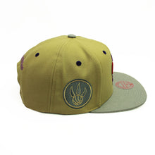 Load image into Gallery viewer, Buy NBA Toronto Raptors Classic Canvas Snapback Hat Tan by Mitchell and Ness - Swaggerlikeme.com / Grand General Store