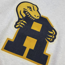 Load image into Gallery viewer, Buy Toronto Raptors Varsity Unisex Oversized Crewneck by Mitchell & Ness - Oatmeal