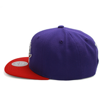 Load image into Gallery viewer, Buy Men's Toronto Raptors Mitchell & Ness NBA Team Two-Tone 2.0 Snapback Purple-Red - Swaggerlikeme.com