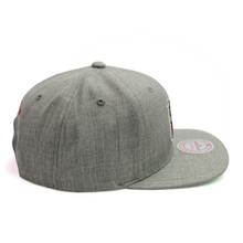 Load image into Gallery viewer, Buy Men's Mitchell & Ness NBA Toronto Raptors Team Heather 2.0 Snapback Grey - Swaggerlikeme.com