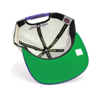 Load image into Gallery viewer, Buy Men's Mitchell & Ness NBA Toronto Raptors Fast Times Snapback Hat White - Swaggerlikeme.com