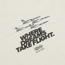 Load image into Gallery viewer, Buy Men's Paper Planes Dream Valley Oversized Tee - Vapor