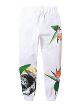 Load image into Gallery viewer, Buy Staple Pigeon Paradise AOP Sweatsuit - White