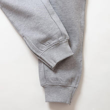 Load image into Gallery viewer, Buy Staple Pigeon Logo Hoodie &amp; Sweatpants Set in Heather Gray - Swaggerlikeme.com
