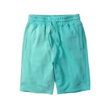 Load image into Gallery viewer, Buy Men&#39;s Staple Two Tone Sweatshorts in Mint - Swaggerlikeme.com
