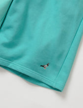 Load image into Gallery viewer, Buy Men&#39;s Staple Two Tone Sweatshorts in Mint - Swaggerlikeme.com
