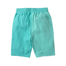 Load image into Gallery viewer, Buy Men&#39;s Staple Two Tone Sweatshorts in Mint - Swaggerlikeme.com
