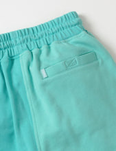 Load image into Gallery viewer, Buy Men&#39;s Staple Two Tone Sweatshorts in Mint - Swaggerlikeme.com
