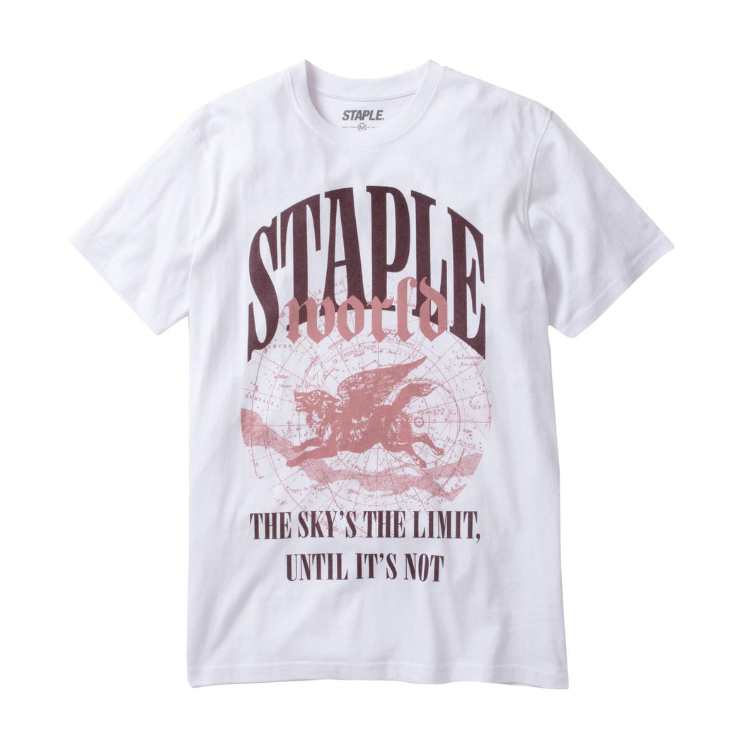 Buy Staple Hunts Point Globe Tee - White - Swaggerlikeme.com / Grand General Store