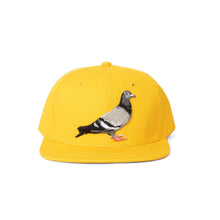 Load image into Gallery viewer, Buy Staple Pigeon Logo Snapback - Gold - Swaggerlikeme.com / Grand General Store
