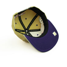 Load image into Gallery viewer, Buy NBA Toronto Raptors Classic Canvas Snapback Hat Tan by Mitchell and Ness - Swaggerlikeme.com / Grand General Store
