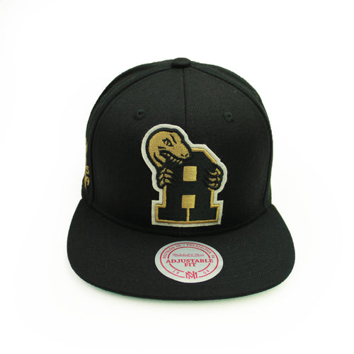 Buy NBA Toronto Raptors Graduation Snapback Hat Black by Mitchell and Ness - Swaggerlikeme.com / Grand General Store
