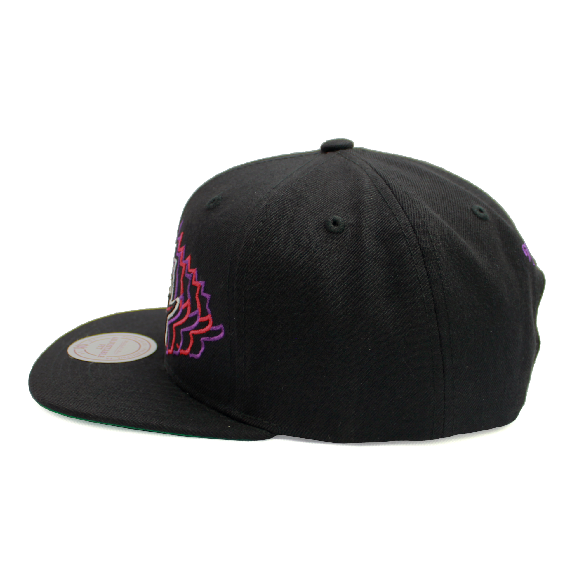 Toronto raptors snapback hat hotsell