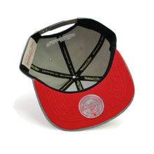 Load image into Gallery viewer, Buy Men&#39;s Toronto Raptors Munch Time Snapback Hat by Mitchell &amp; Ness Grey - Swaggerlikeme.com
